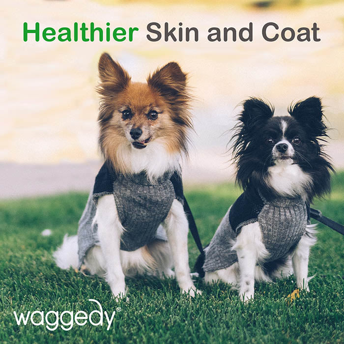healthier skin and coat