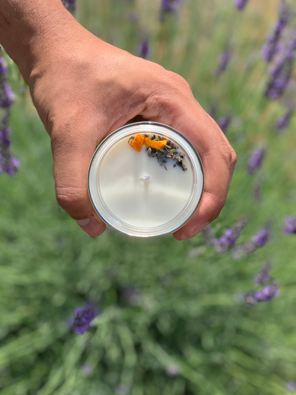 Visiting the Lavender Farm — 7th Street Candle Co