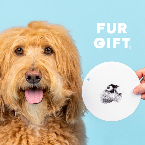 Plus Size Paw Pad Wholesale Bundles – Fur Gift