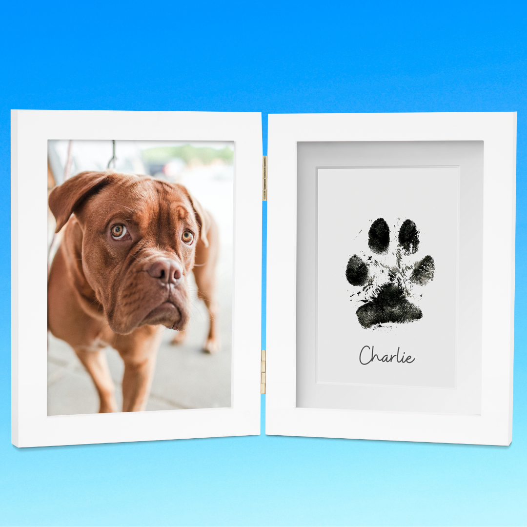 XL Dog Paw Print Stamp Pad – Fur Gift