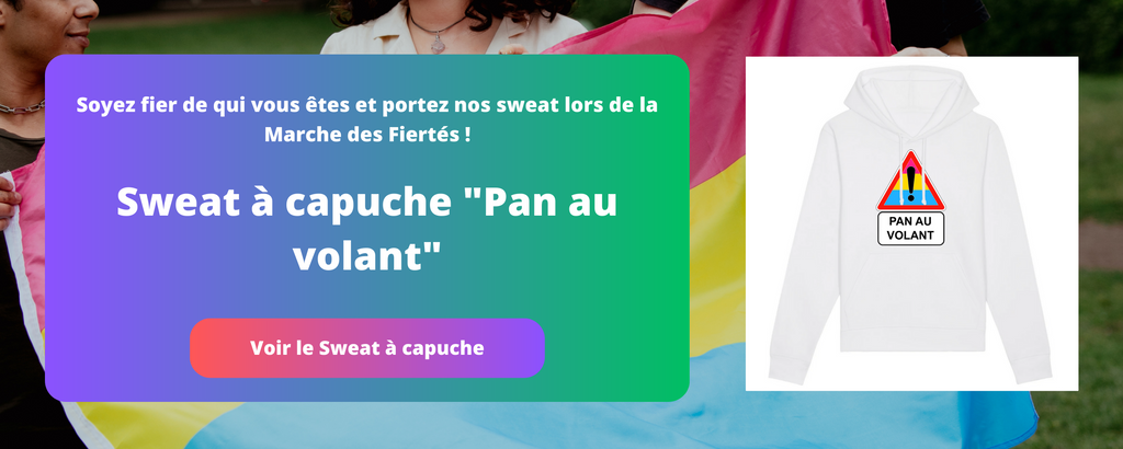 Image de blog sur les pansexuels et le sweat à capuche lgbt pan au volant de prideavenue.fr