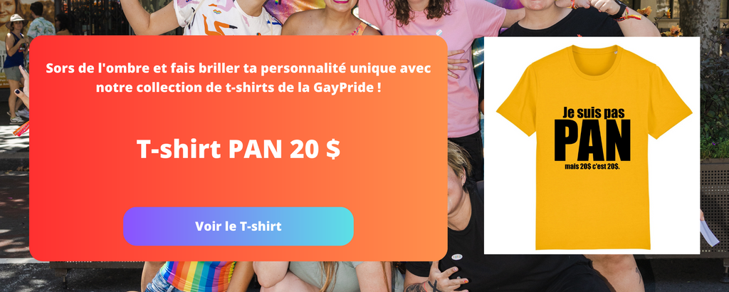 image du blog des pansexuelles de prideavenue.fr avec un t-shirt pan c'est 20$ super fun et drole