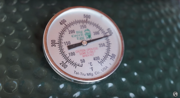 big green egg temperature guage