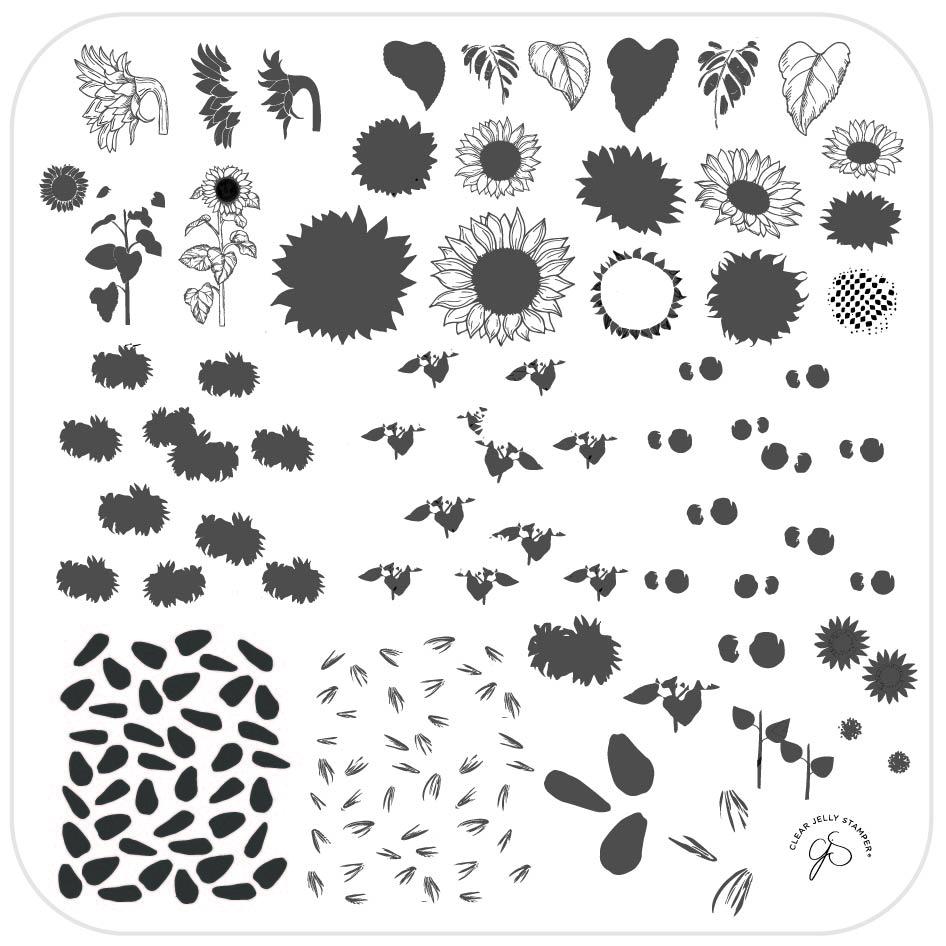 Clear Jelly Stamper Cjs 163 Sunflowers Beautometry