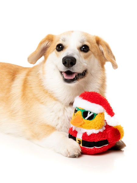 Jouet en peluche Petit Renne de Noël pour chien - Korridog