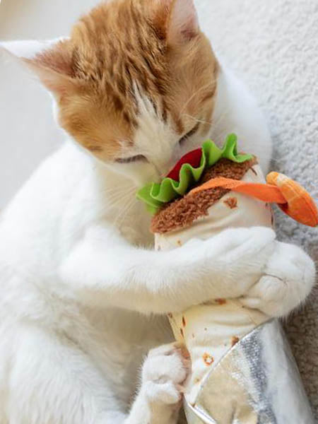 Lot de 6 jouets pour chat Sushi avec herbe à chat Sushi Roll Oreiller  Kitten Chew Bite Fournitures Soulagement de l'ennui Fluffy Kitty Dents  Nettoyage Chewing Cat Lovers Cadeau interactif en peluche 