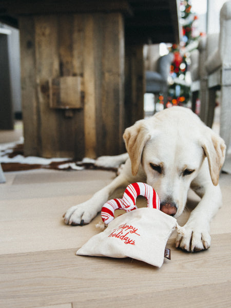 Peluche Hérisson de Noël Jouet pour chien - Korridog