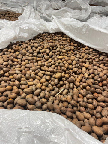 Georgia unshelled pecans