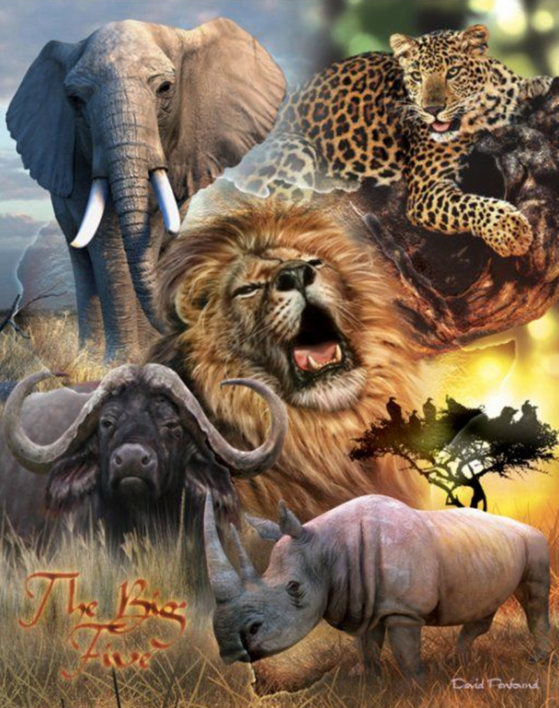 Пятерка африки. Африканские животные. Большая пятерка животных Африки. Животные сафари. Африканское сафари.