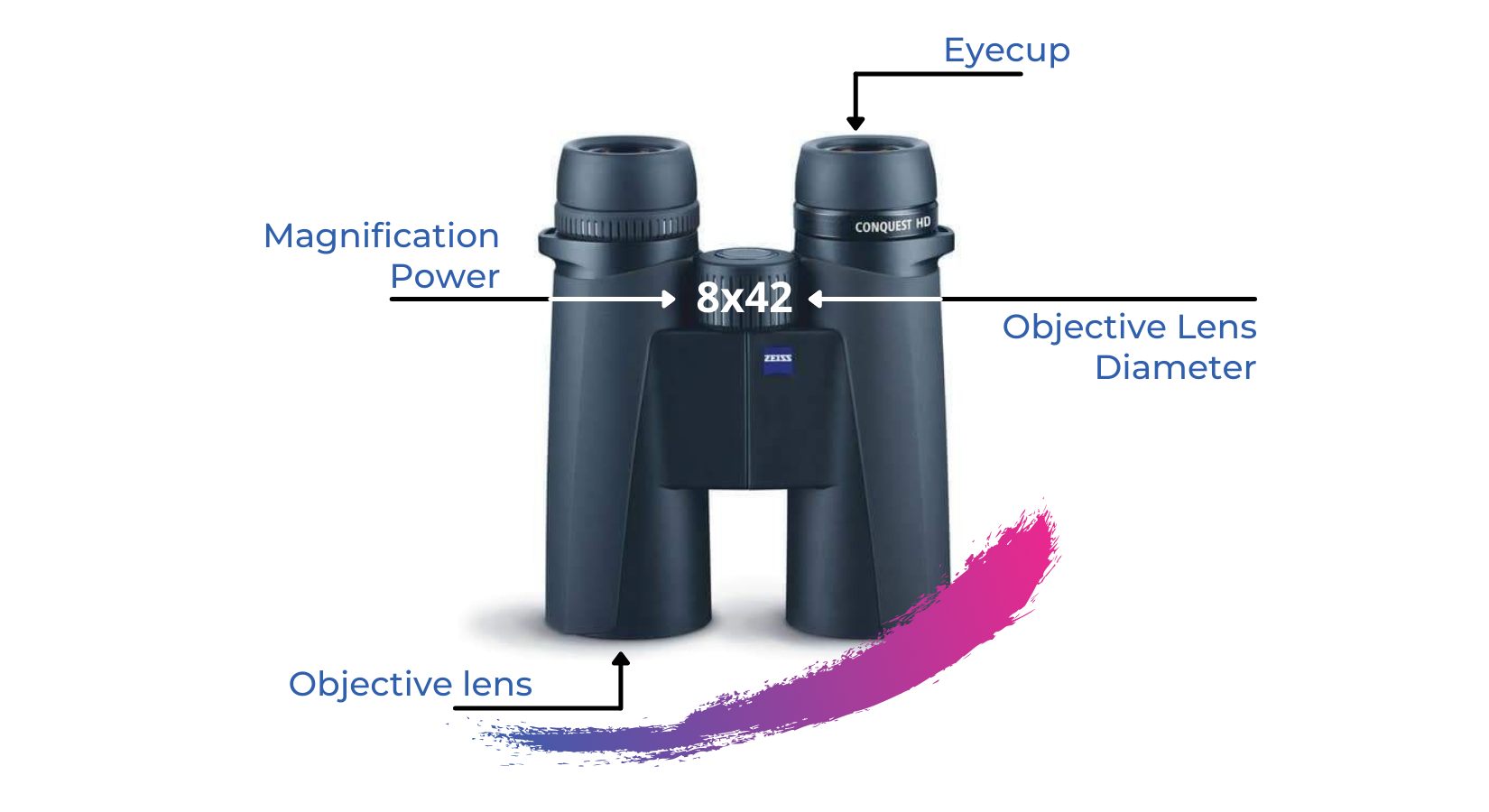 Chosing binoculars : a guide