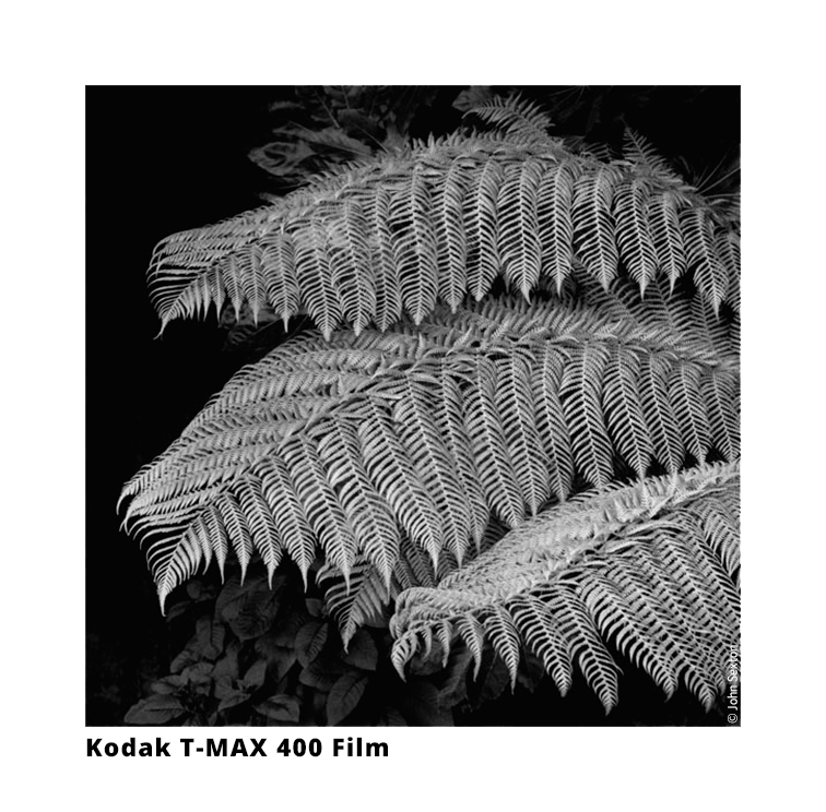 Kodak T-MAX 400 Film