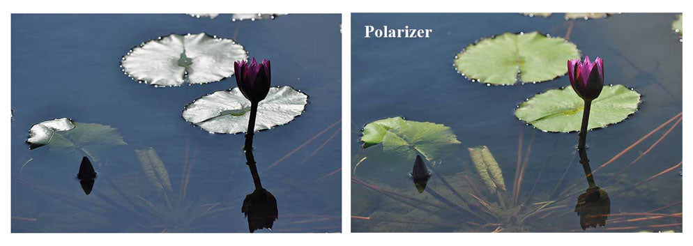 What does a circular polarizing filter do and how do I use it body of water