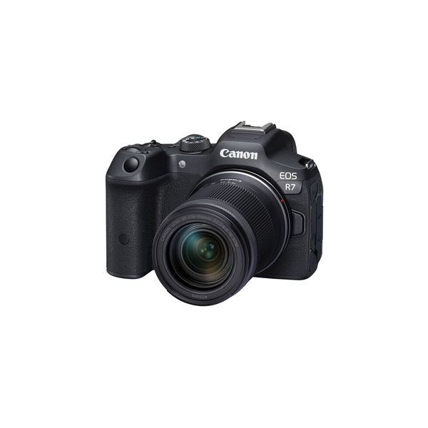 Canon EOS R8 4K Video Mirrorless Camera with RF 24-50mm f/4.5-6.3 IS STM  Lens Black 5803C012 - Best Buy