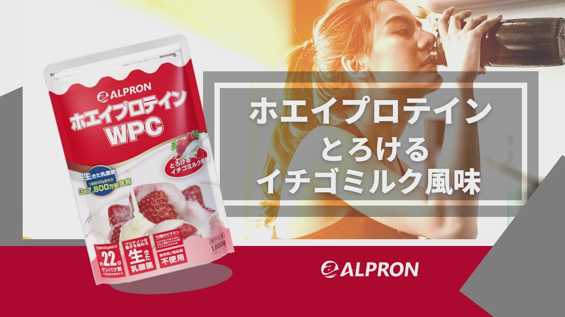 【WEB限定】ALPRON WPC プロテイン (1kg 約30食)