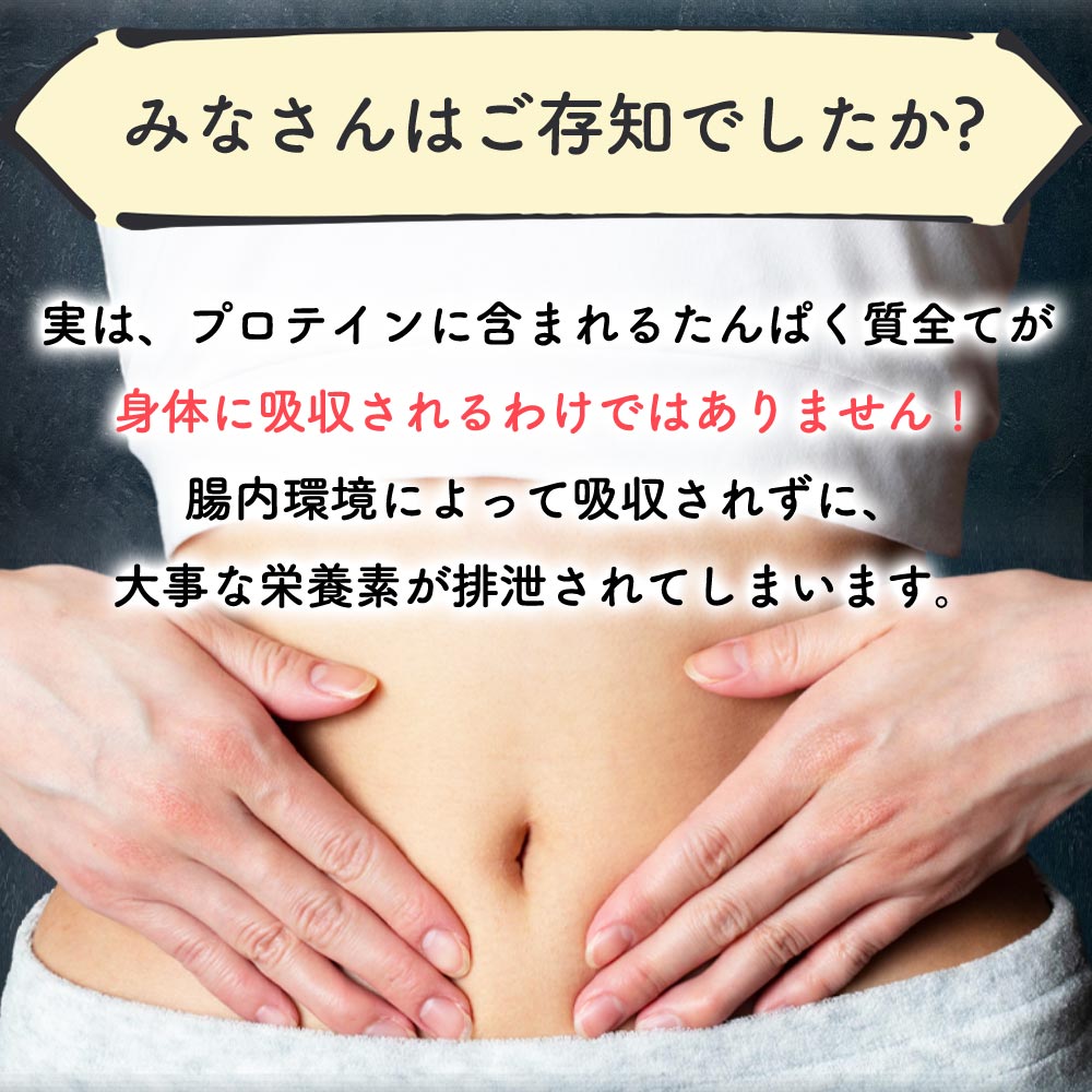 プロテイン ソイプロテイン 1kg 3個セット アルプロン SOY 選べるフレーバー ソイ 大豆 ビタミン 乳酸菌 アミノ酸 ダイエット 置き換え  美容 女性 男性 WEB限定 値引