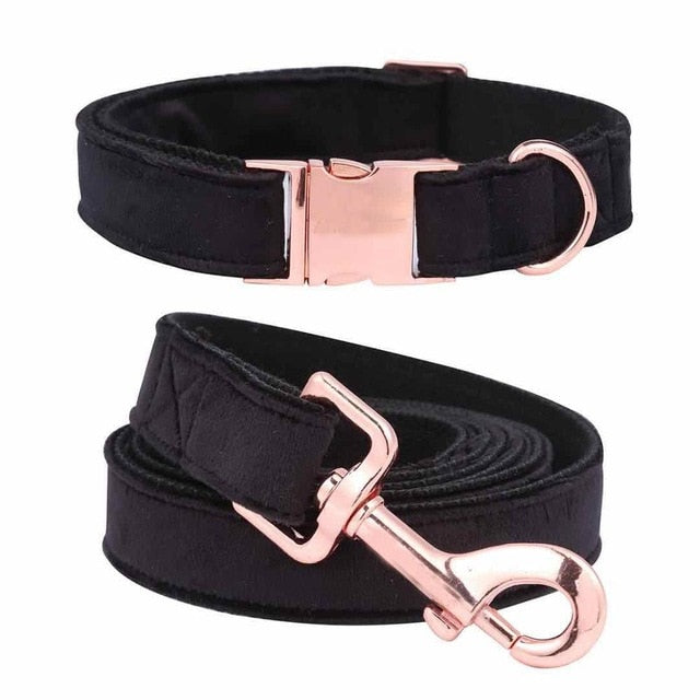 designer dog collars and leads