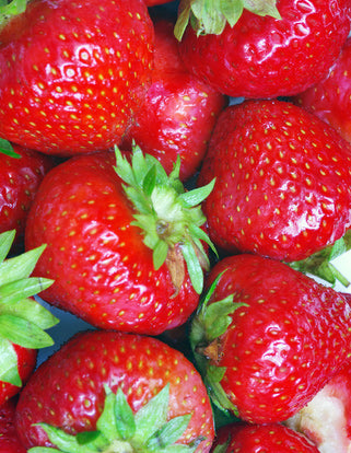 Strawberry Red Rhubarb Crowns - 1 root division