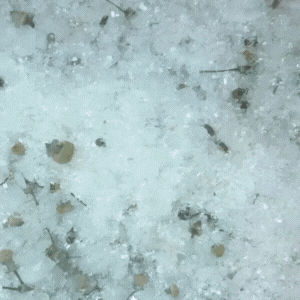 Soap_Graphics_500_x_500_px_-_2024-08-04T014617