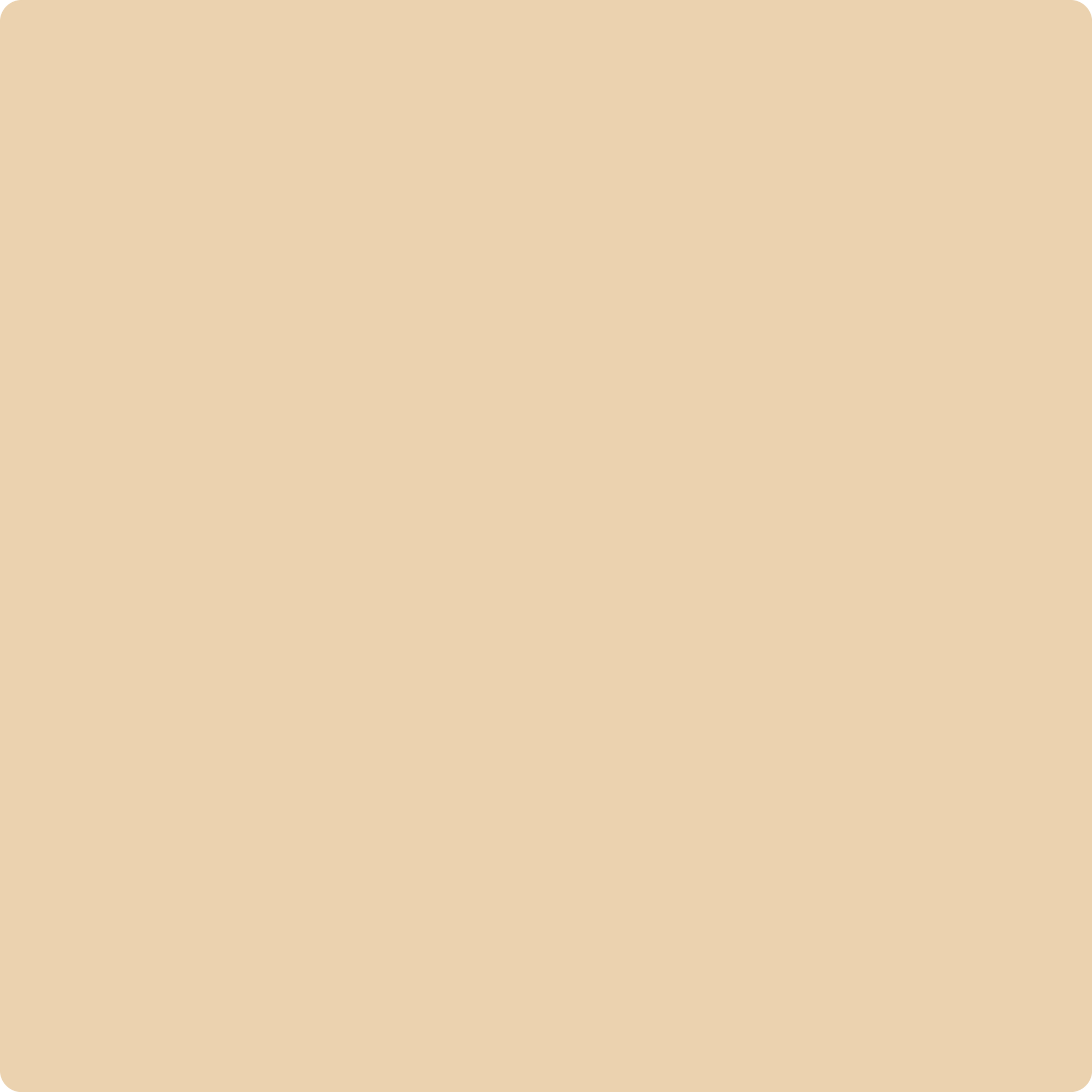 Palm Desert Tan (1123): 9x14.75 – Benjamin Moore x Samplize