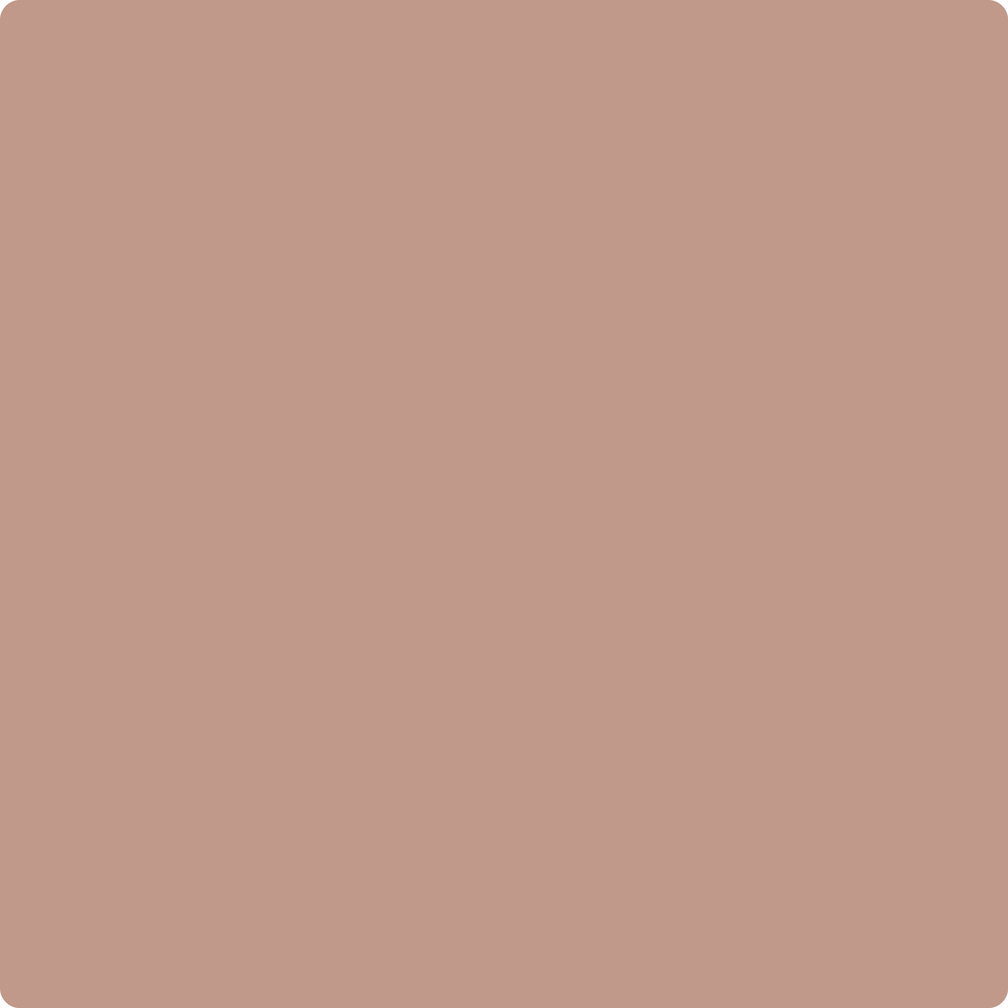 1010 Rose Dust - Paint Color