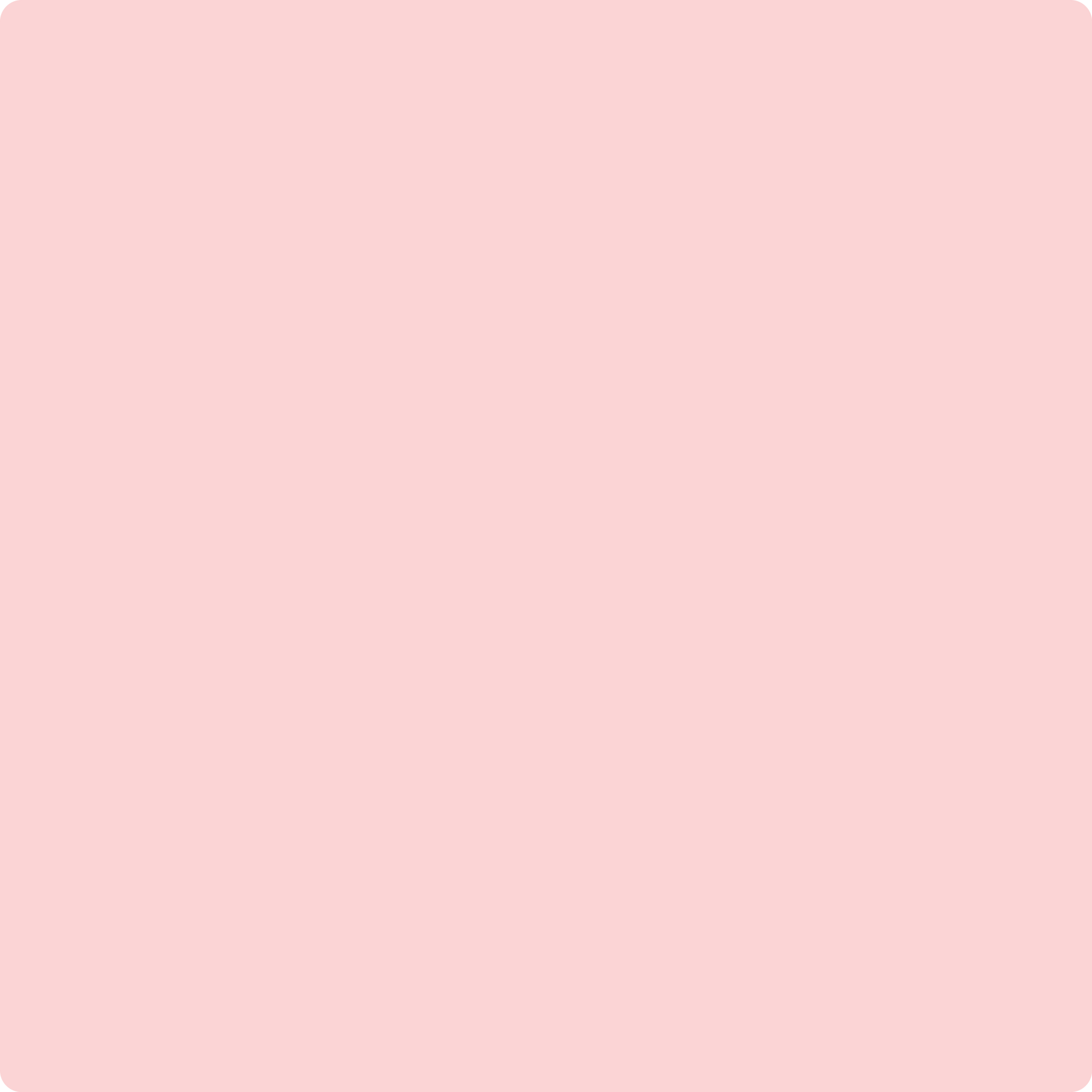 2009-60 Pink Sea Shell a Paint Color by Benjamin Moore | Aboff's