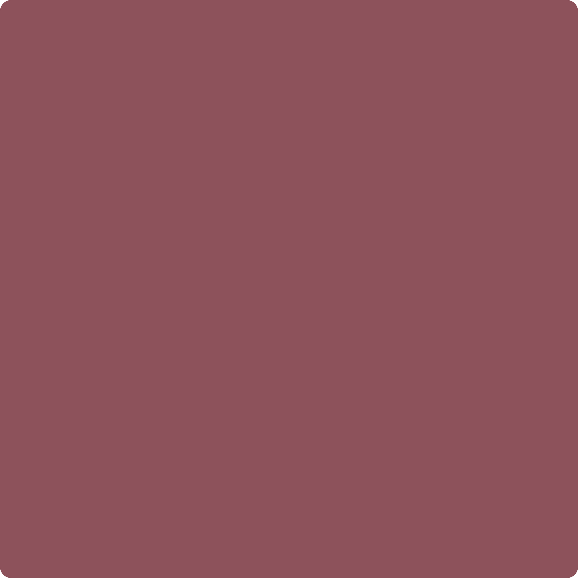 2175-10 Aztec Brick - Paint Color