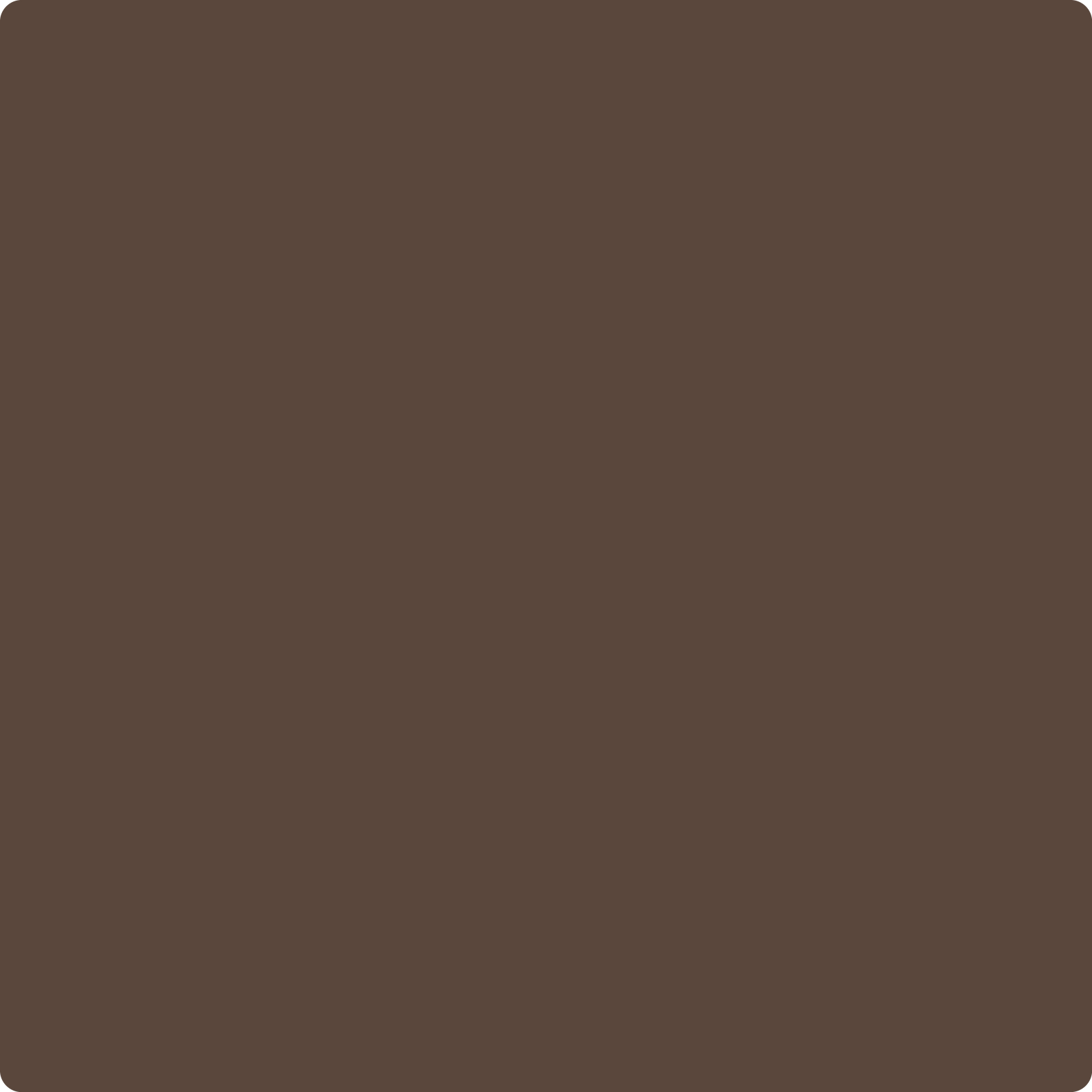 Chocolate Brown Color