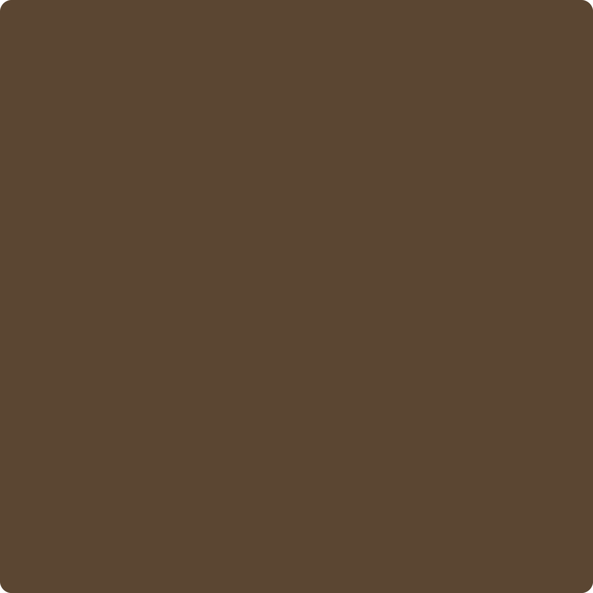 2111-10 Deep Taupe - Colour 'N Light