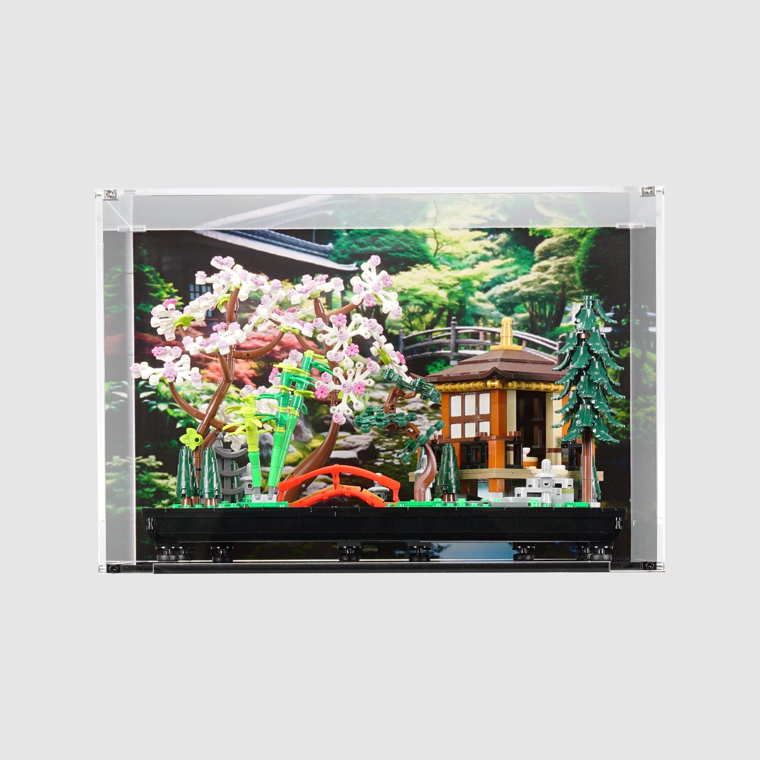 Acrylic Displays for your Lego Models-Lego 10311 Orchid Display Case
