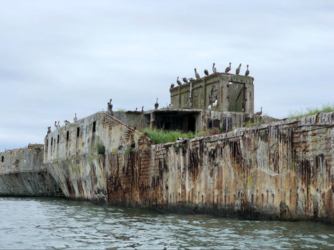 Kiptopeke State Park concrete ship