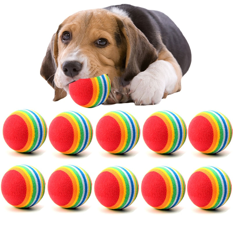 cool dog toys