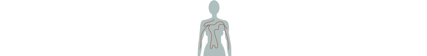 Image of Human Body