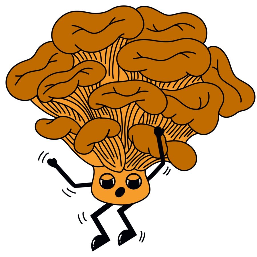 Maitake Mushroom