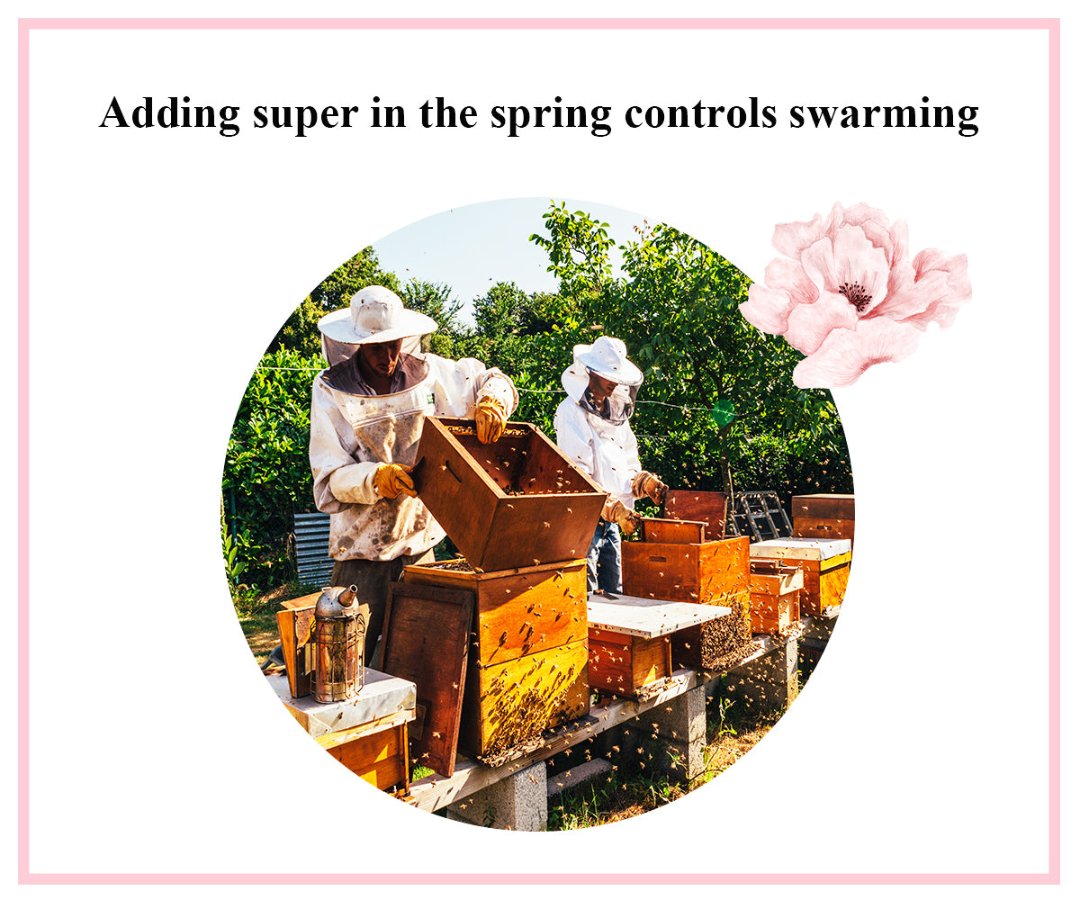 Spring Hive Management