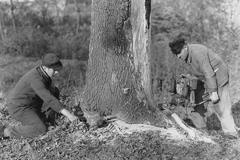 STIHL Chainsaw 1930