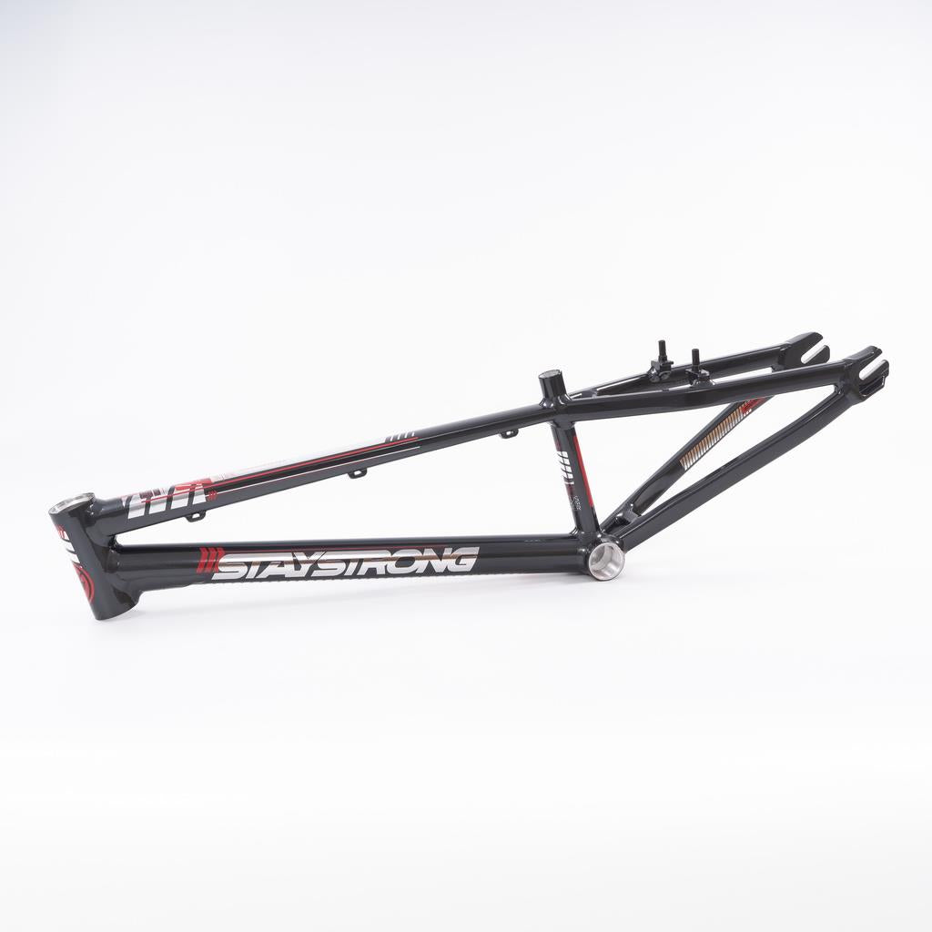 Stay Strong For Life 2023 V4 Expert XL Race Frame Grey