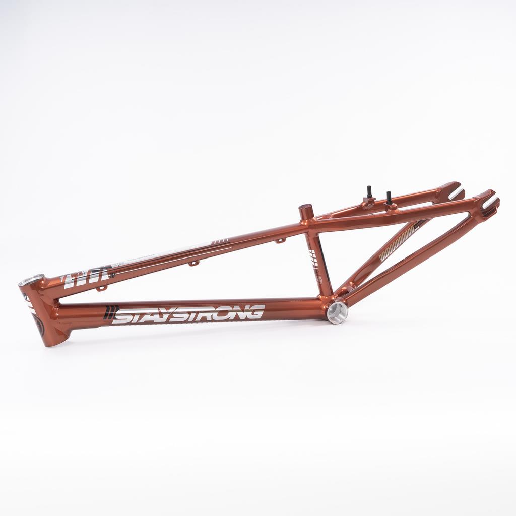 Stay Strong For Life 2023 V4 Expert Race Frame Copper