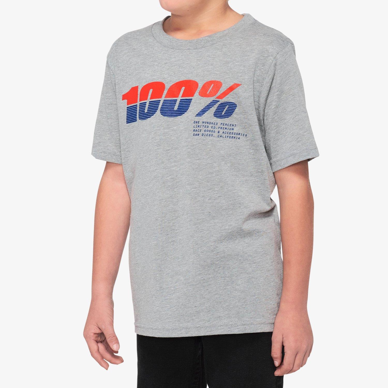 An image of 100% Bristol Youth T-Shirt - Grey/ Heather Large Kids T-shirts