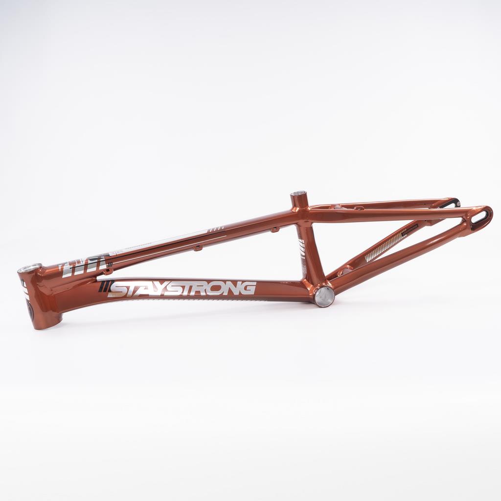 Stay Strong For Life 2023 V4 Pro Race Frame - Disc Version Copper