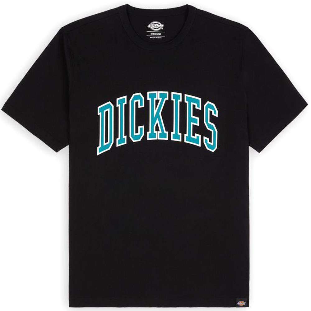 An image of Dickies Aitkin T-Shirt - Black/Deep Lake Medium T-shirts