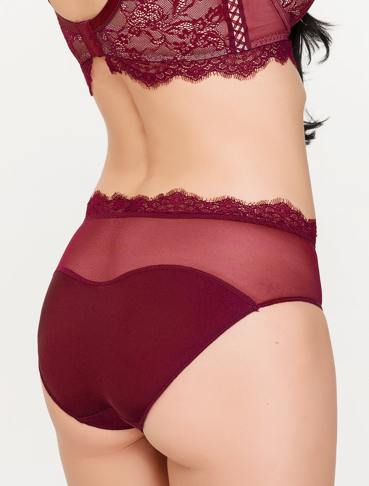 Sensuality Elegant Luxury High Waist Panties With Embroidered Lace – Lauma  Lingerie