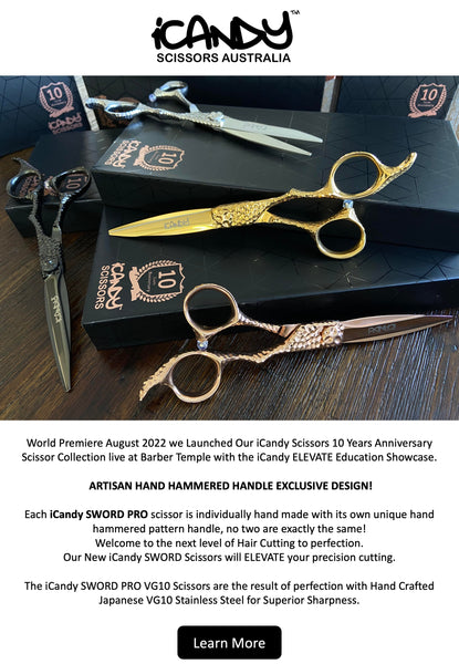 iCandy Scissors 10 Year ELEVATE Event Newsletter Pic1