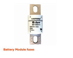 Battery module fuse