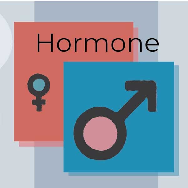 männliche hormone ernährung akne loswerden
