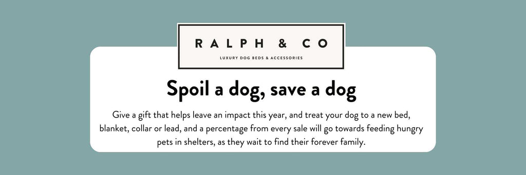 Ralph & Co's new campaign supports shelters with every purchase