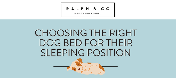 How to choose the right dog bed for your dog's preferred sleeping position
