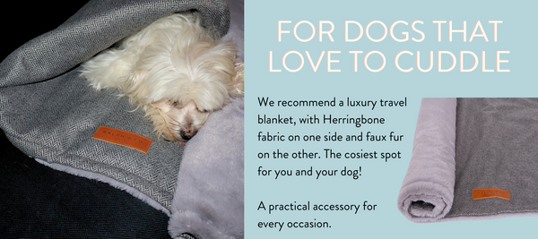 For lap dogs, we suggest a luxury travel blanket.