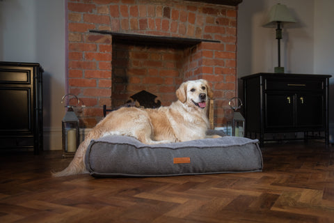 Golden retriever lying down on a Balmoral pillow bed