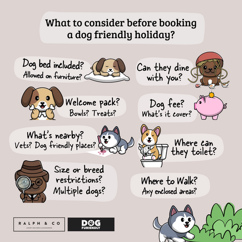 things to consider before booking a dog friendly holiday