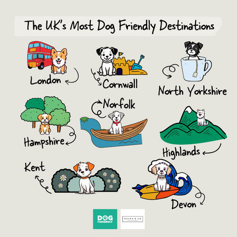graphic illustration of the 8 best UK days out for dogs